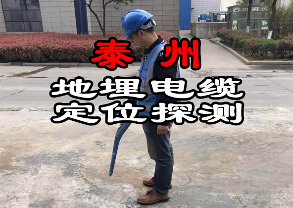 泰州地埋電纜定位探測(cè)
