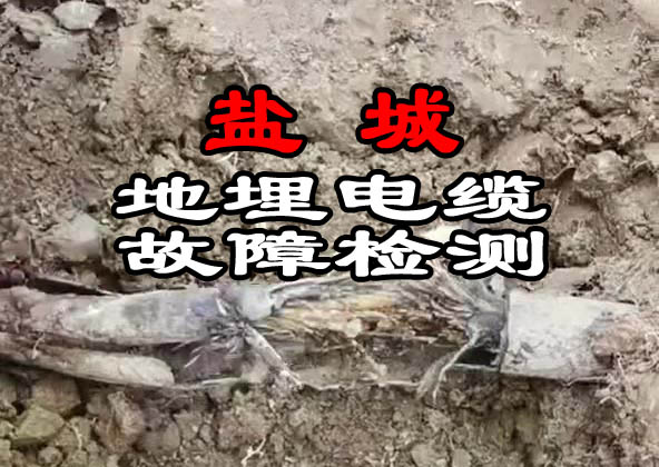 鹽城地埋電纜故障檢測(cè)