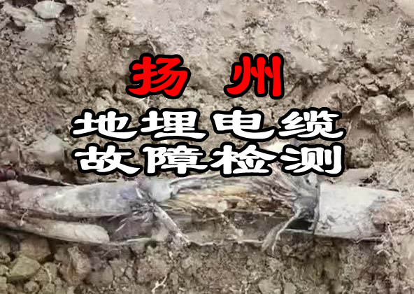 揚(yáng)州地埋電纜故障檢測(cè)